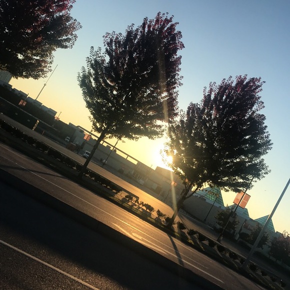 Meet your Posher, Aliyah - Picture 1 of 1